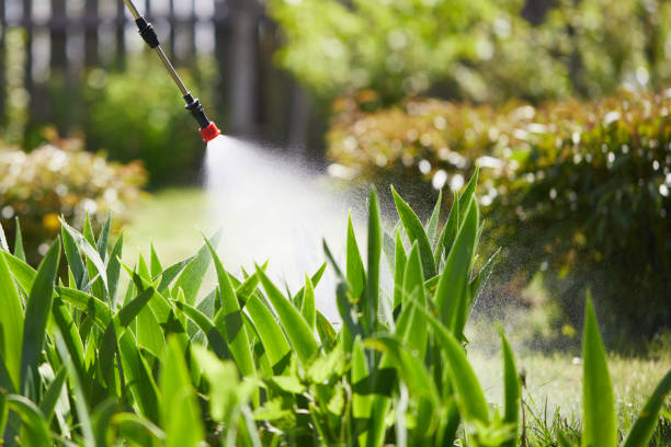 24/7 Emergency Mosquito Control experts in Jonesboro, LA