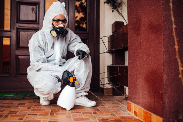 Reliable Mosquito Control contractor in Jonesboro, LA by Show Me Pest Control